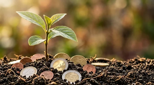 Rappresentazione visiva dell'effetto dell'interesse composto sugli investimenti a lungo termine