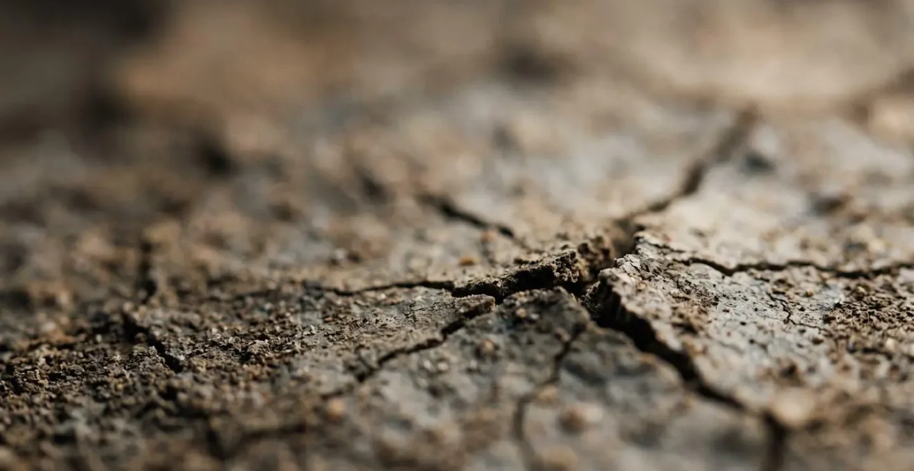 Dettaglio macro di una struttura fragile che simboleggia la vulnerabilità finanziaria senza cuscinetto di emergenza